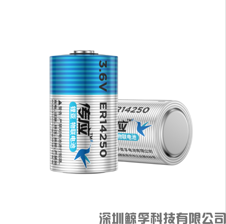 超大容量寬溫鋰亞導(dǎo)電性更強電池——ER14250(圖2)